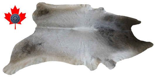 300509 - Cowhide Rug Tapis Peau de Vache -BIG SIZE XL Collection Quebecuir Premium