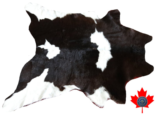 200513  Calfskin Tapis peau de veau Collection Quebecuir Premium