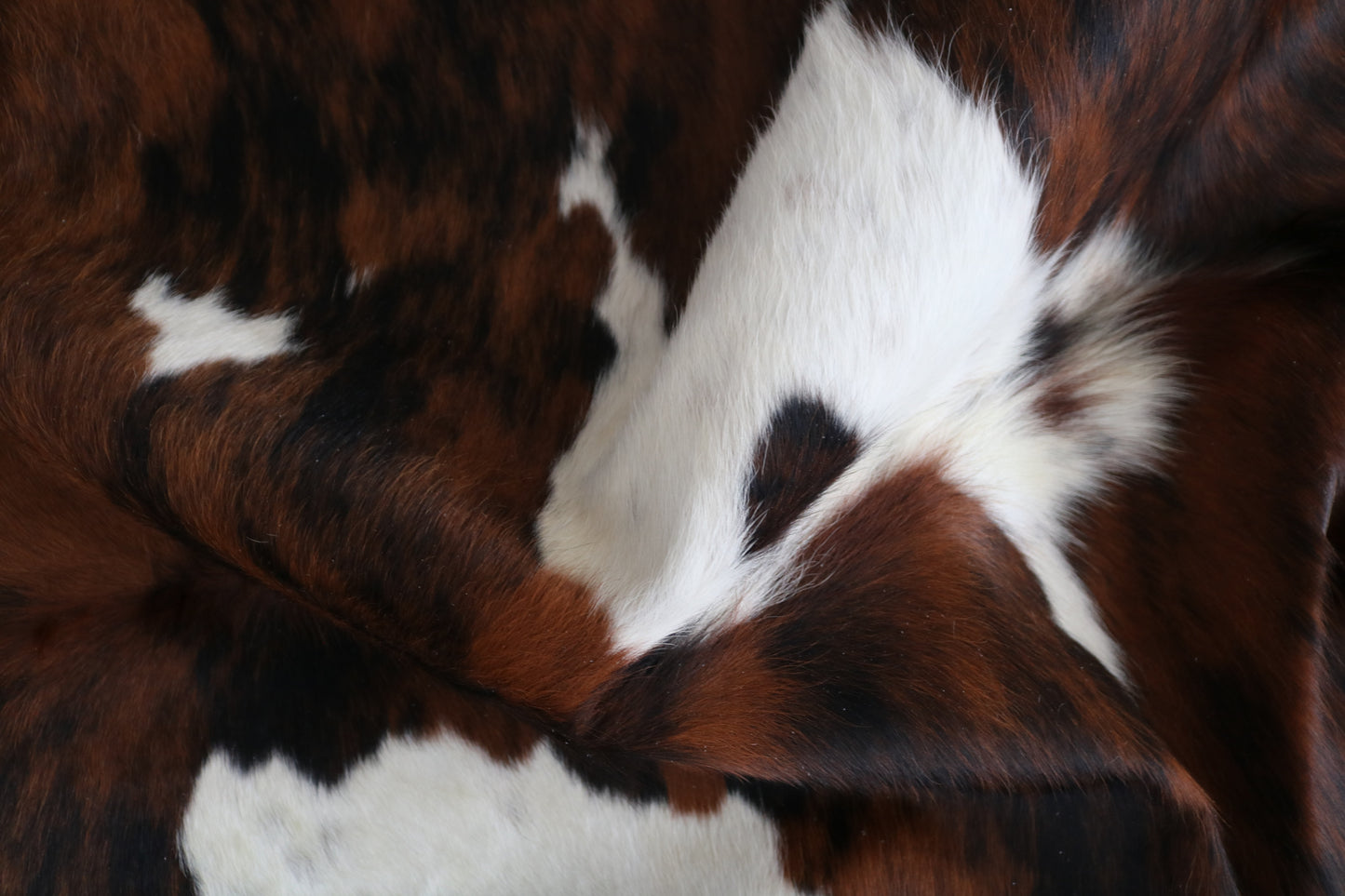 99187 - Cowhide Rug Tapis Peau de Vache -BIG SIZE XL Collection Quebecuir Premium