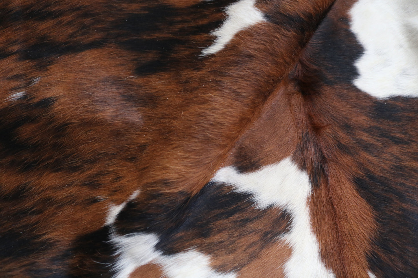 99187 - Cowhide Rug Tapis Peau de Vache -BIG SIZE XL Collection Quebecuir Premium