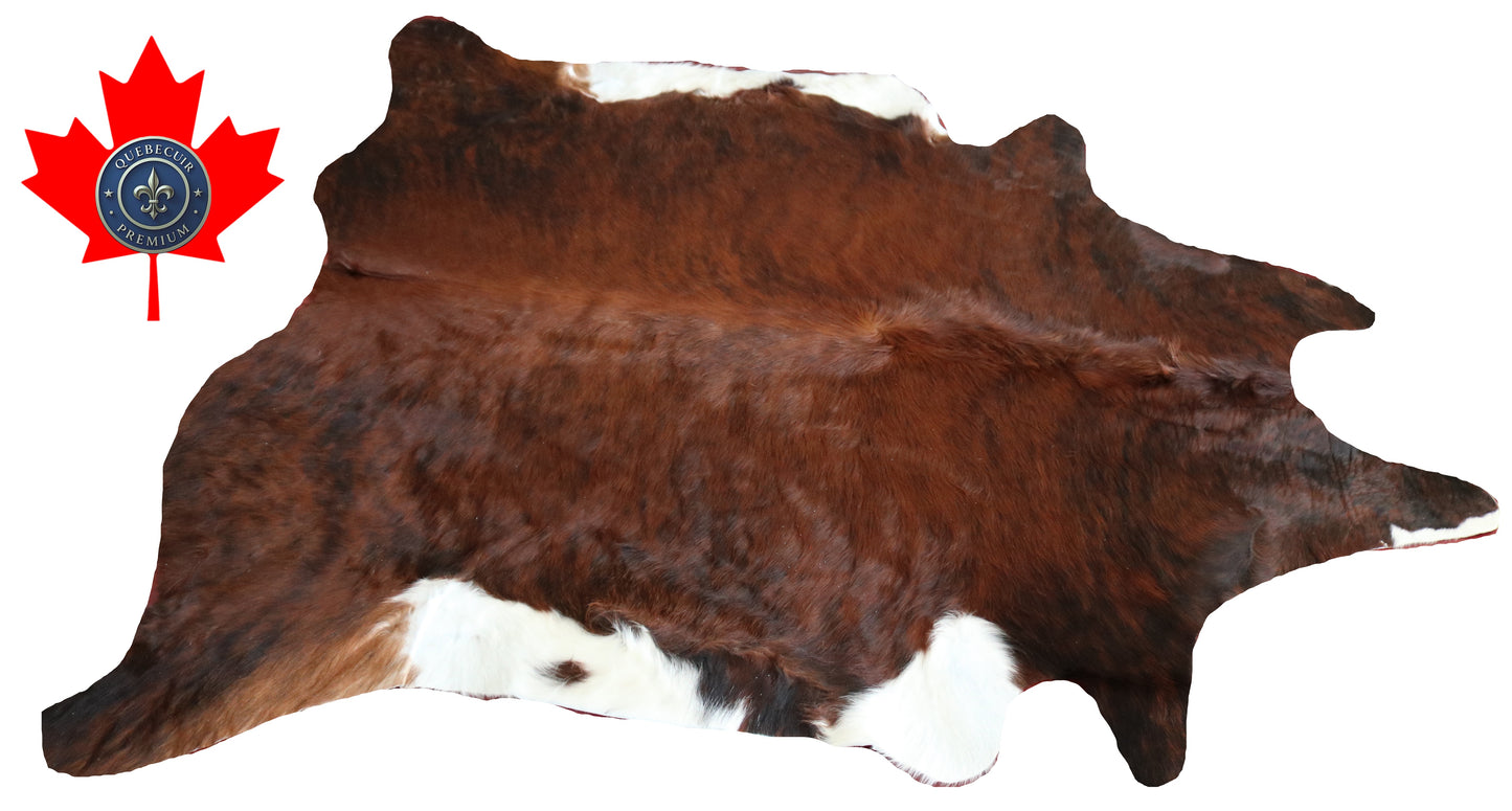 300521 - Cowhide Rug Tapis Peau de Vache -BIG SIZE XL Collection Quebecuir Premium