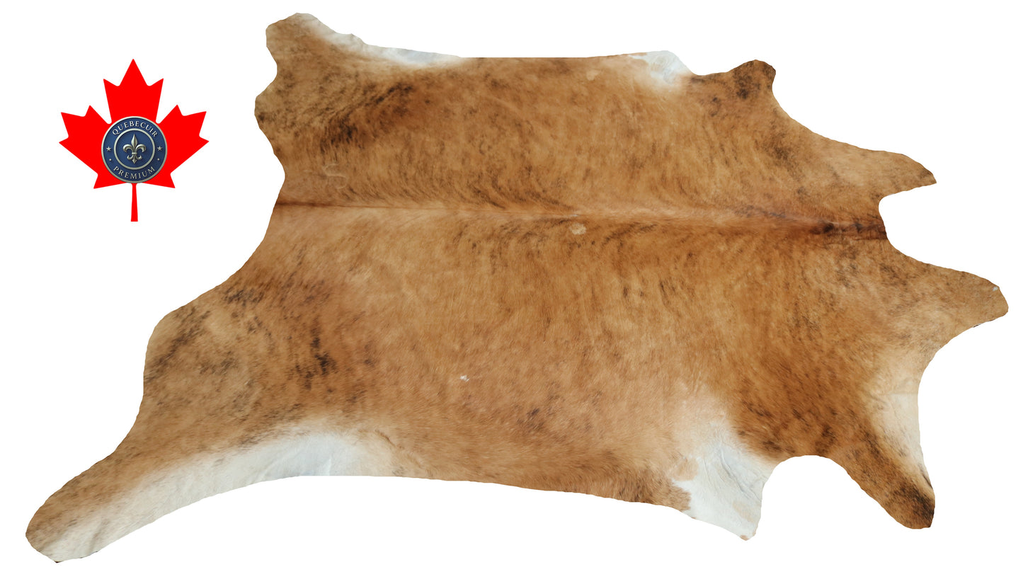 300523 - Cowhide Rug Tapis Peau de Vache -BIG SIZE XL Collection Quebecuir Premium