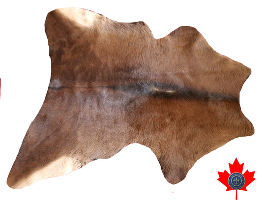 200517 Calfskin Tapis peau de veau Collection Quebecuir Premium