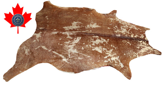 300540- Cowhide Rug Tapis Peau de Vache  GOLDEN - Collection Quebecuir Premium