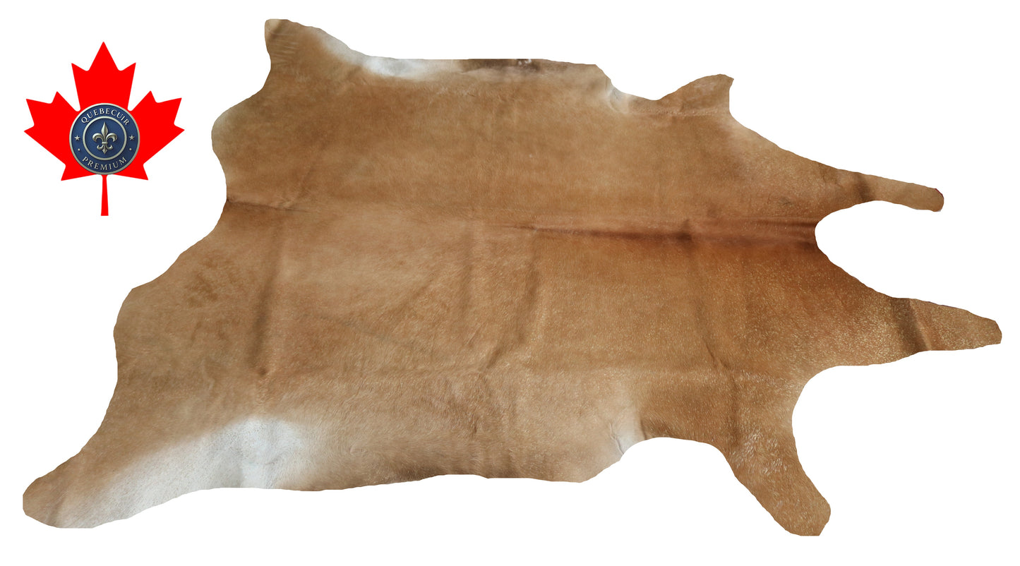 300541- Cowhide Rug Tapis Peau de Vache  GOLDEN - Collection Quebecuir Premium