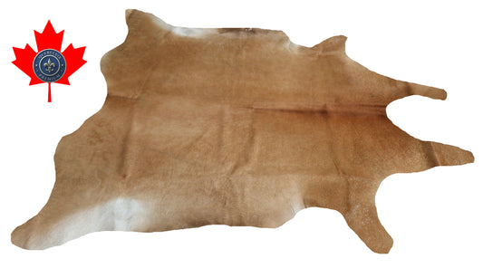 300541- Cowhide Rug Tapis Peau de Vache  GOLDEN - Collection Quebecuir Premium