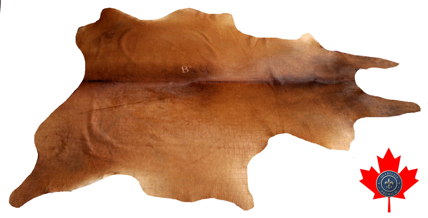 300565 - Cowhide Rug Tapis Peau de Vache -BIG SIZE XL Collection Quebecuir Premium