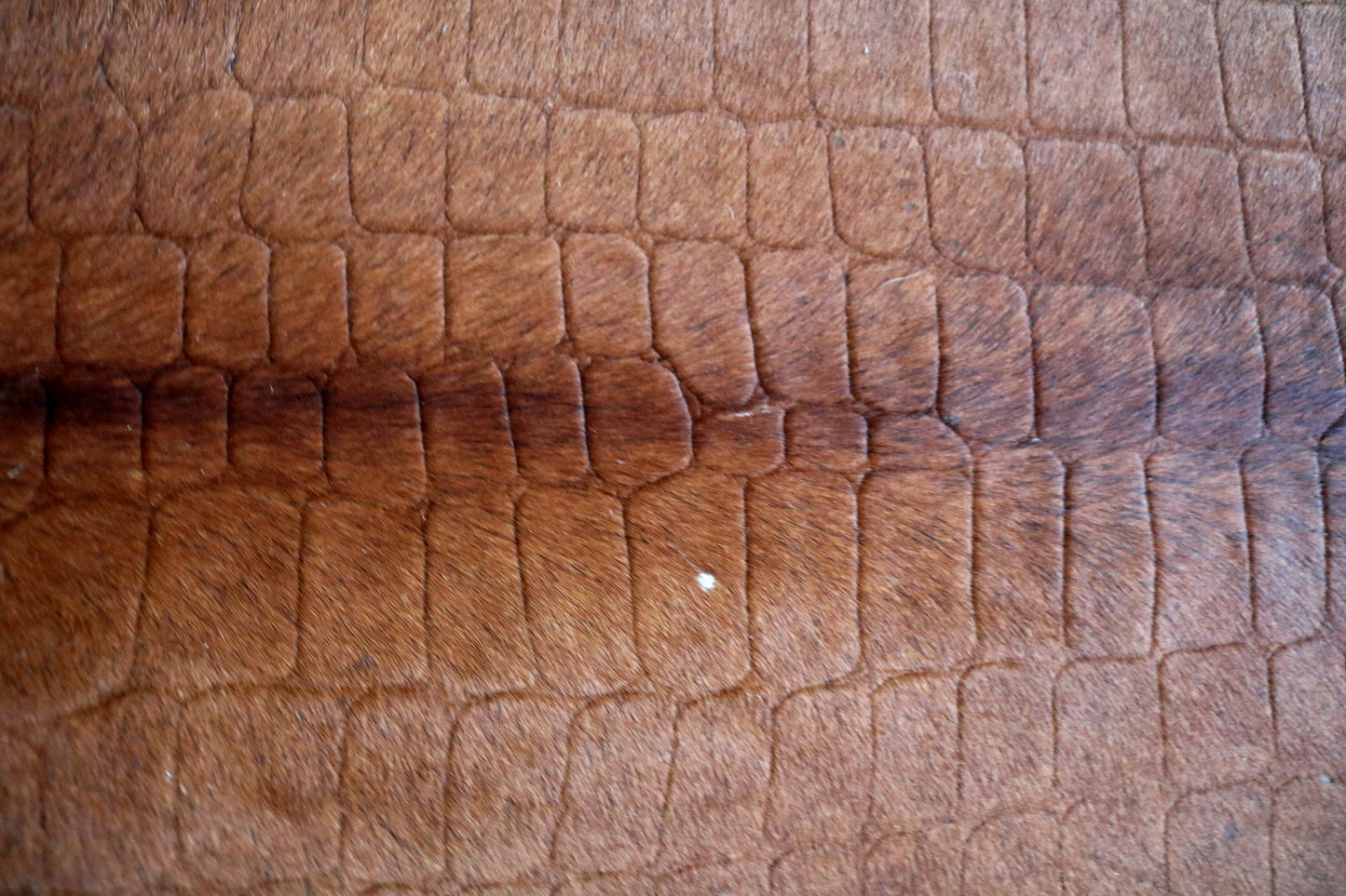 300565 - Cowhide Rug Tapis Peau de Vache -BIG SIZE XL Collection Quebecuir Premium