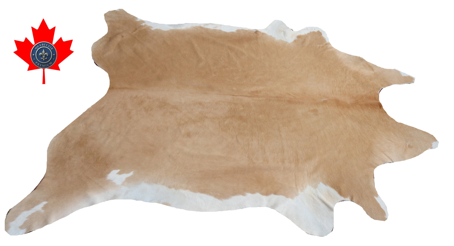 300567 - Cowhide Rug Tapis Peau de Vache -BIG SIZE XL Collection Quebecuir Premium