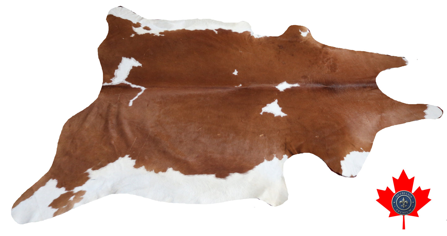 300568 - Cowhide Rug Tapis Peau de Vache -BIG SIZE XL Collection Quebecuir Premium