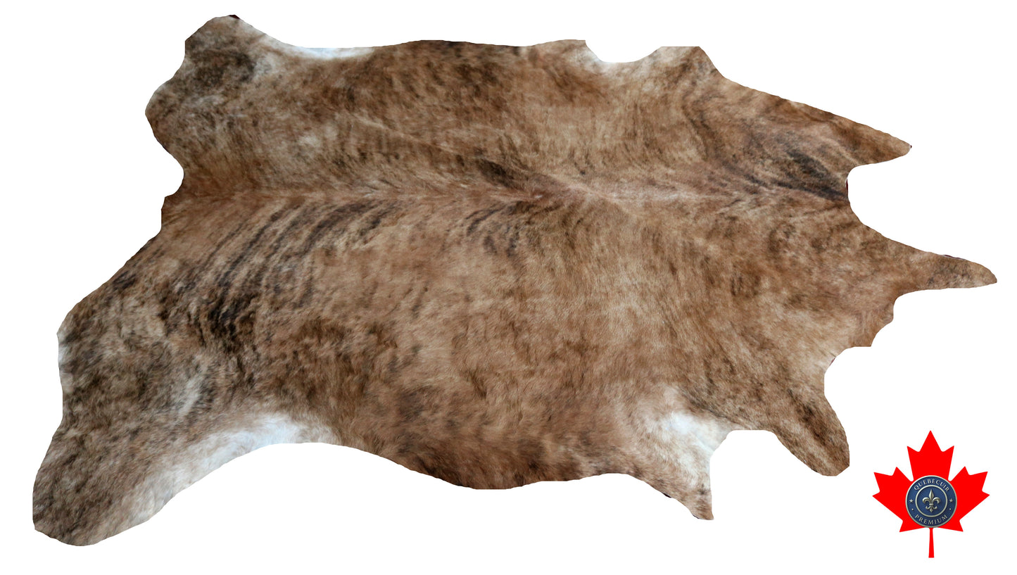 300569 - Cowhide Rug Tapis Peau de Vache -BIG SIZE XL Collection Quebecuir Premium