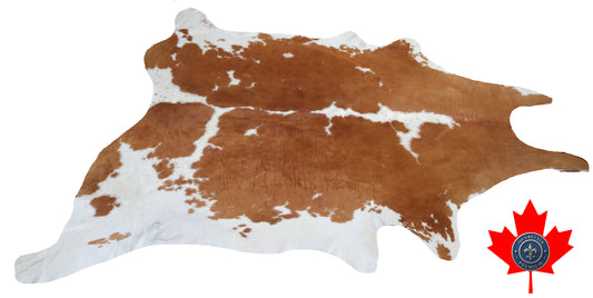 300571 - Cowhide Rug Tapis Peau de Vache -BIG SIZE XL Collection Quebecuir Premium