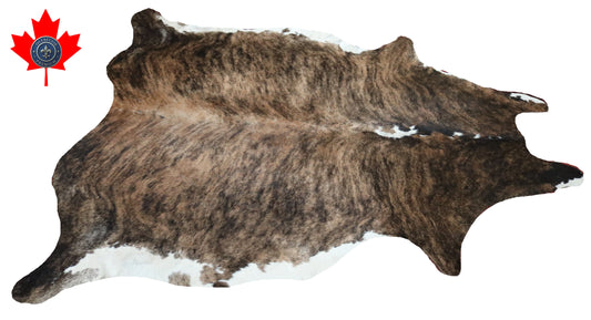 300572- Cowhide Rug Tapis Peau de Vache -BIG SIZE XL Collection Quebecuir Premium
