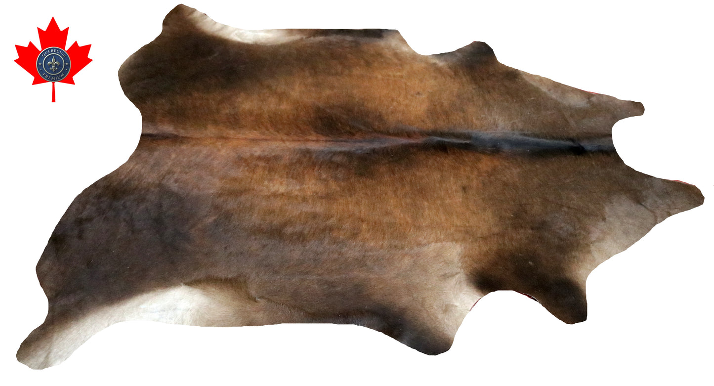 300573- Cowhide Rug Tapis Peau de Vache -BIG SIZE XL Collection Quebecuir Premium