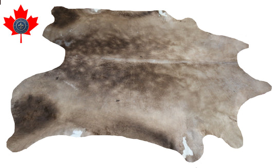 300580- Cowhide Rug Tapis Peau de Vache -BIG SIZE XL Collection Quebecuir Premium