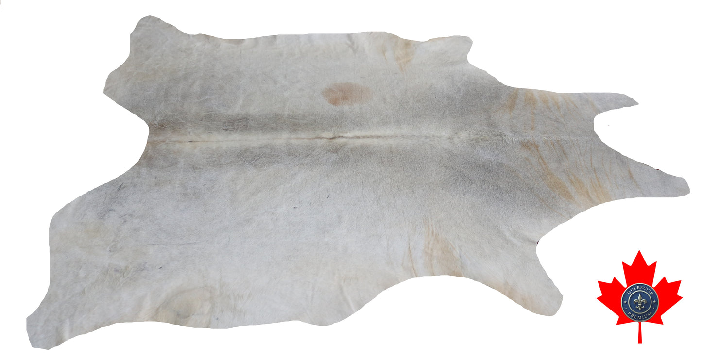 300583- Cowhide Rug Tapis Peau de Vache -BIG SIZE XL Collection Quebecuir Premium