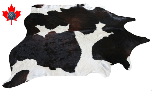 300596- Cowhide Rug Tapis Peau de Vache -BIG SIZE XL Collection Quebecuir Premium