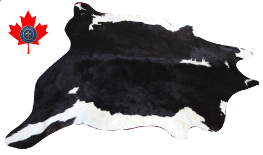 300599- Cowhide Rug Tapis Peau de Vache -BIG SIZE XL Collection Quebecuir Premium