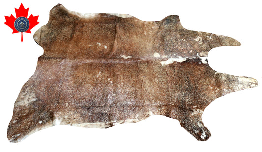 300604- Cowhide Rug Tapis Peau de Vache -GOLDEN  METALLIC Collection Quebecuir Premium