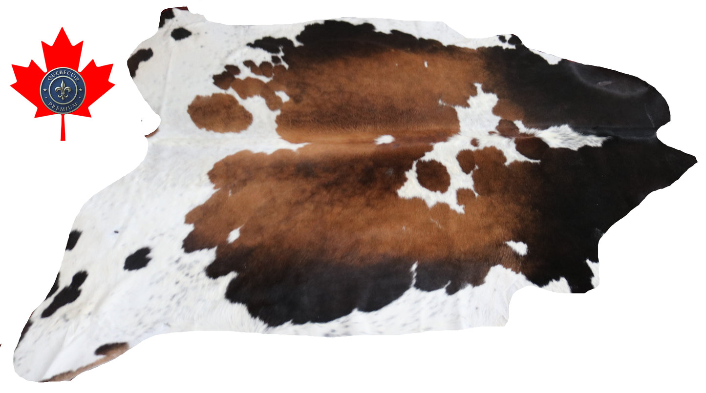 AI 99200- Cowhide Rug Tapis Peau de Vache - Collection Quebecuir Premium