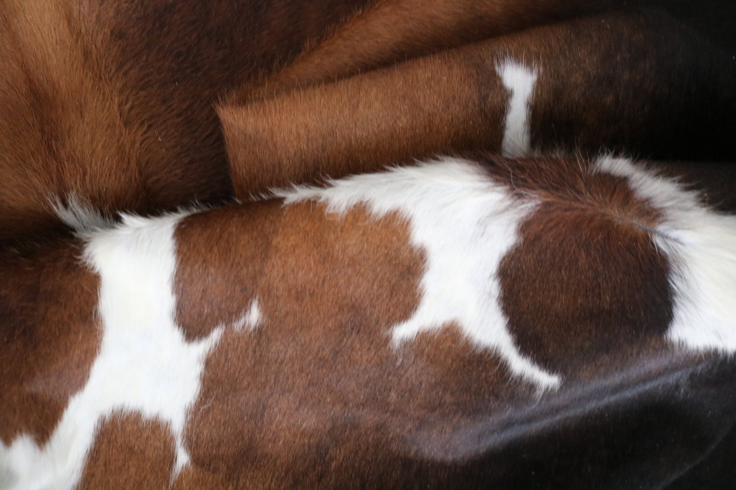 AI 99200- Cowhide Rug Tapis Peau de Vache - Collection Quebecuir Premium