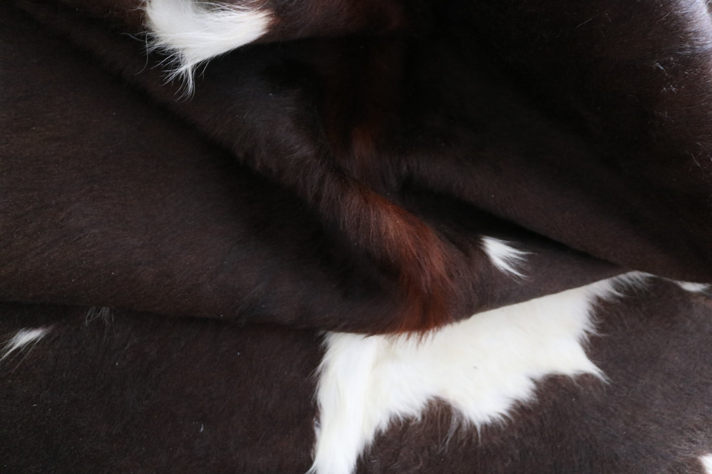 99204- Cowhide Rug Tapis Peau de Vache - Collection Quebecuir Premium