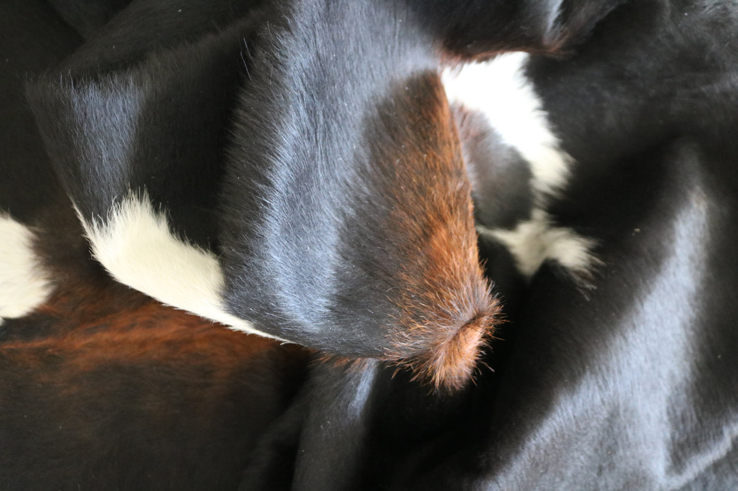 99587 Cowhide rug  Collection Quebecuir Premium