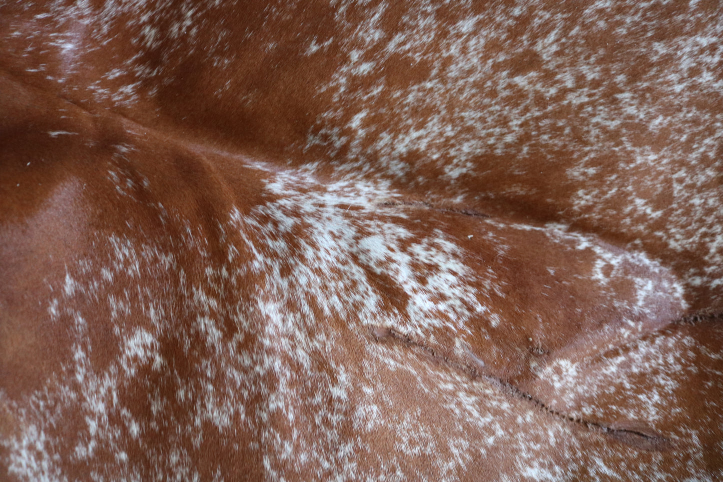 99209- Cowhide Rug Tapis Peau de Vache - Collection Quebecuir Premium