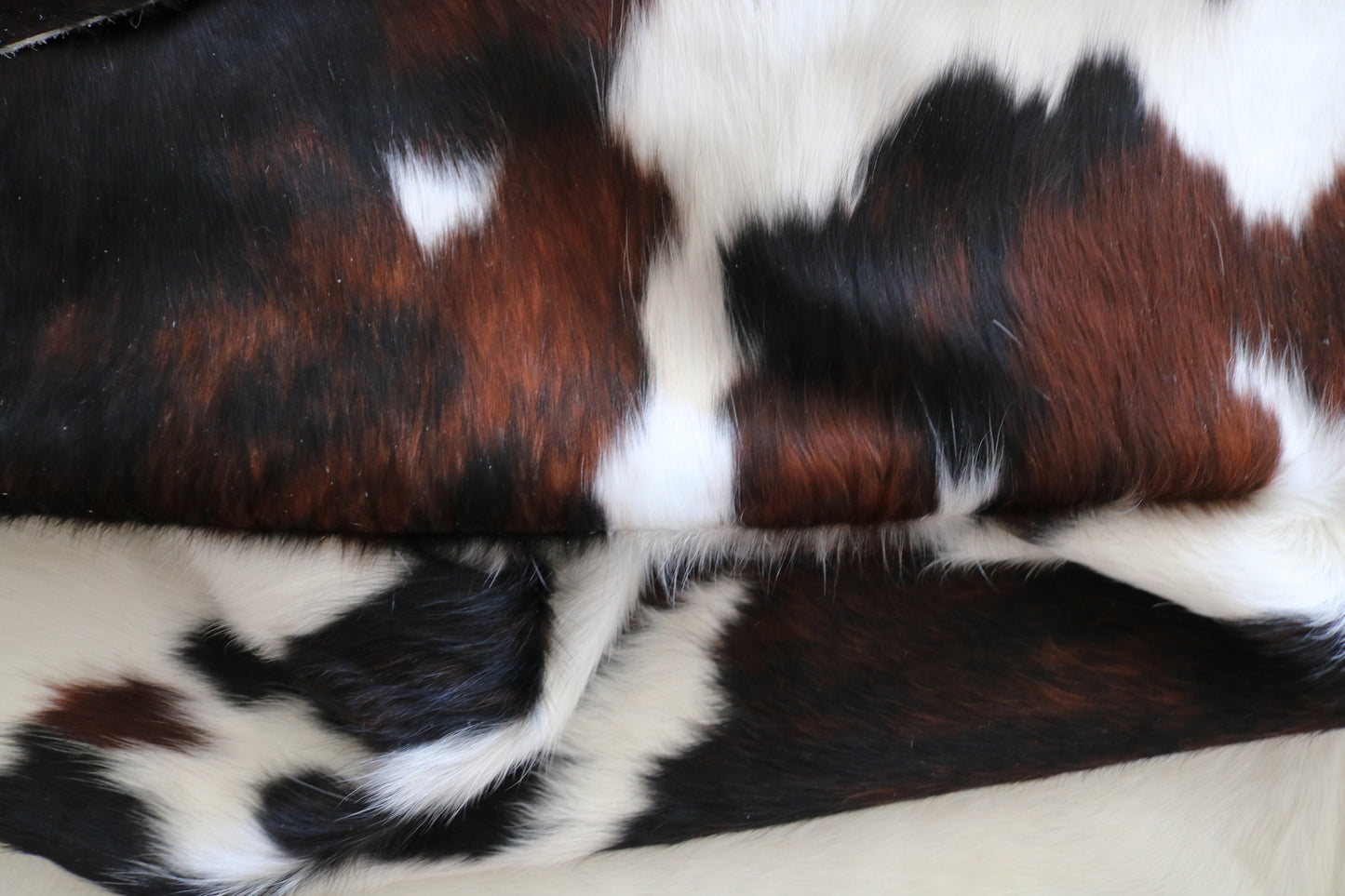 99210 - Cowhide Rug Tapis Peau de Vache  SUPER  BIG  SIZE XXXL - Collection Quebecuir Premium