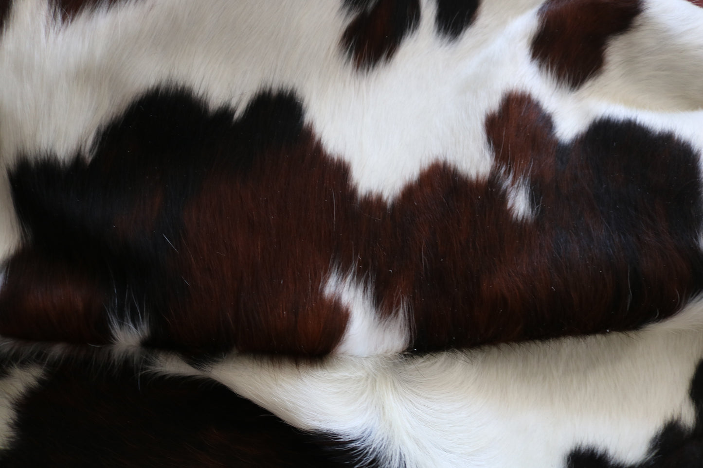 99210 - Cowhide Rug Tapis Peau de Vache  SUPER  BIG  SIZE XXXL - Collection Quebecuir Premium