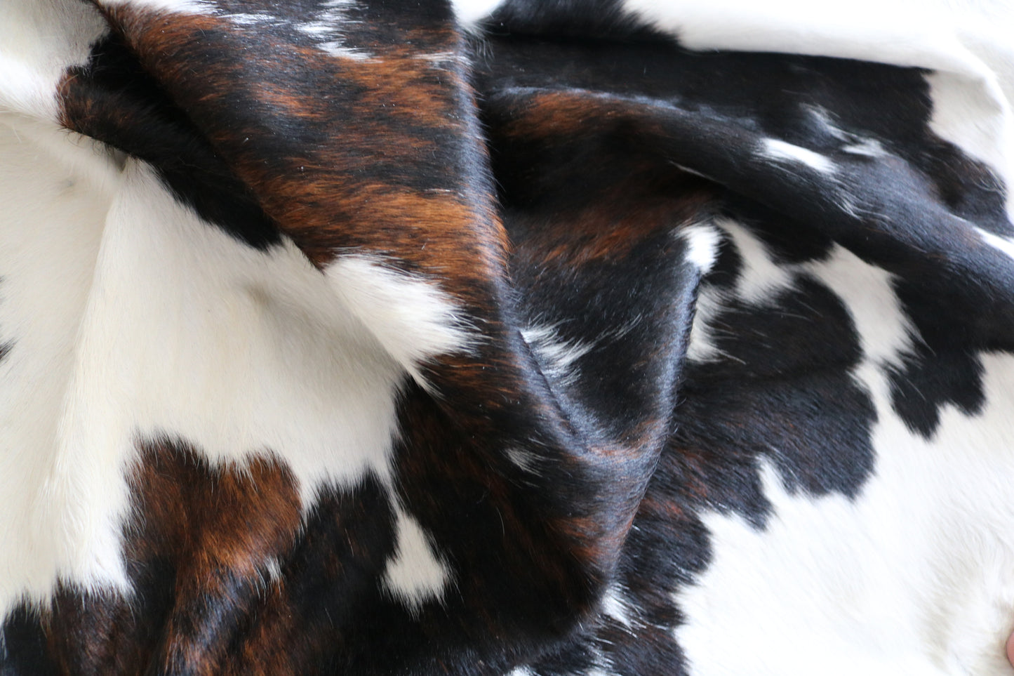 99213- Cowhide Rug Tapis Peau de Vache SUPER BIG SIZE XXXL - Collection Quebecuir Premium