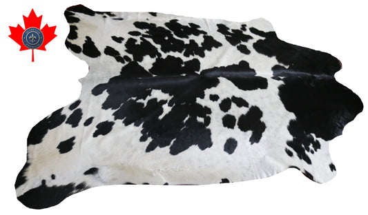 99215- Cowhide Rug Tapis Peau de Vache SUPER BIG SIZE XXXL - Collection Quebecuir Premium