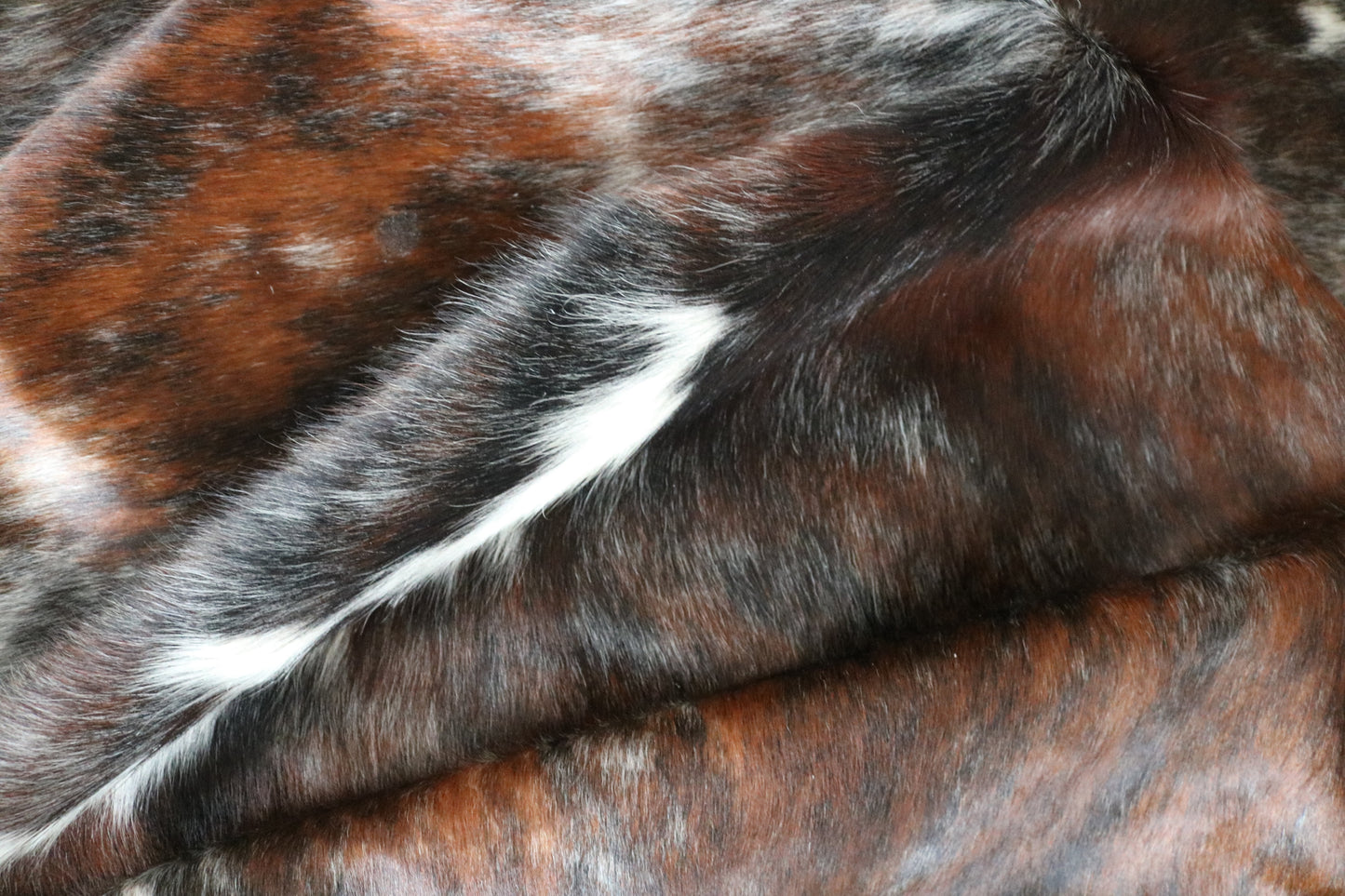 99216- Cowhide Rug Tapis Peau de Vache SUPER BIG SIZE XXXL - Collection Quebecuir Premium