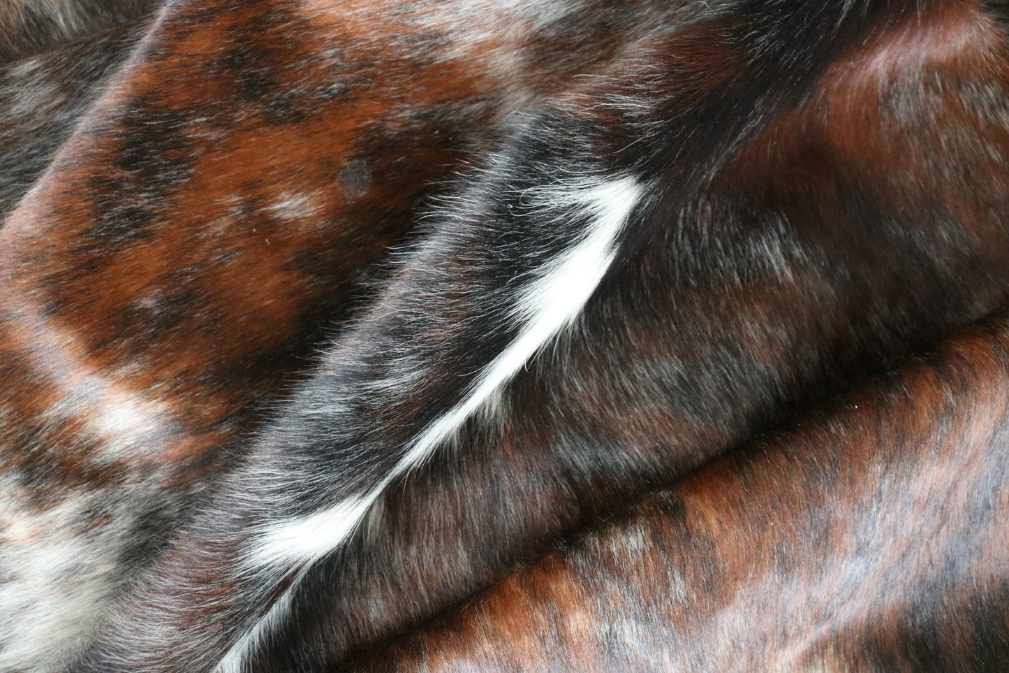 99216- Cowhide Rug Tapis Peau de Vache SUPER BIG SIZE XXXL - Collection Quebecuir Premium