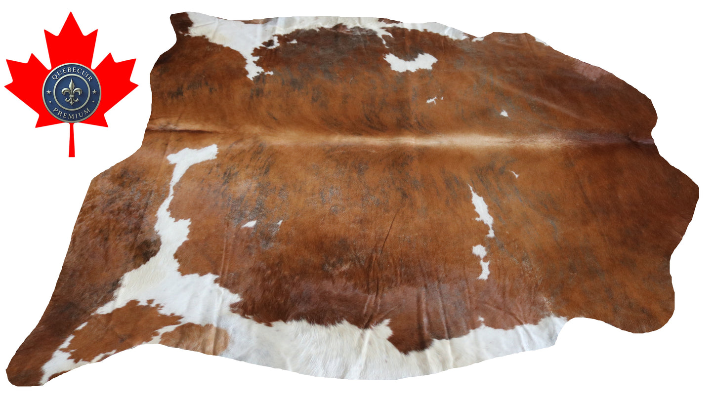 99217- Cowhide Rug Tapis Peau de Vache SUPER BIG SIZE XXXL - Collection Quebecuir Premium