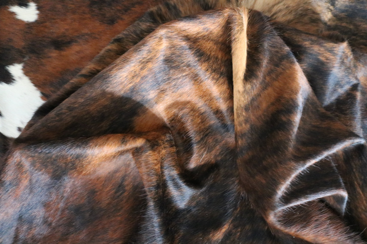 99218- Exotic Brindle Cowhide Rug Tapis Peau de Vache SUPER BIG SIZE XXXL - Collection Quebecuir Premium