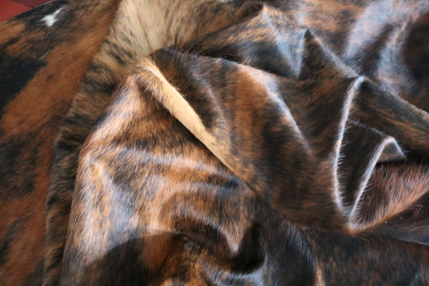 99218- Exotic Brindle Cowhide Rug Tapis Peau de Vache SUPER BIG SIZE XXXL - Collection Quebecuir Premium