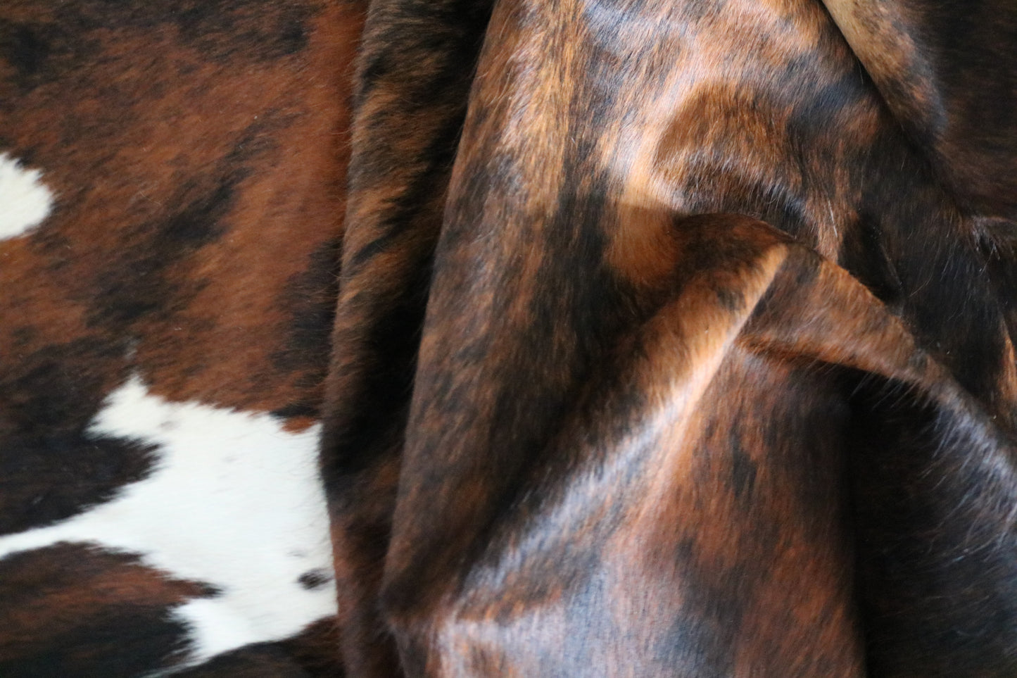 99218- Exotic Brindle Cowhide Rug Tapis Peau de Vache SUPER BIG SIZE XXXL - Collection Quebecuir Premium