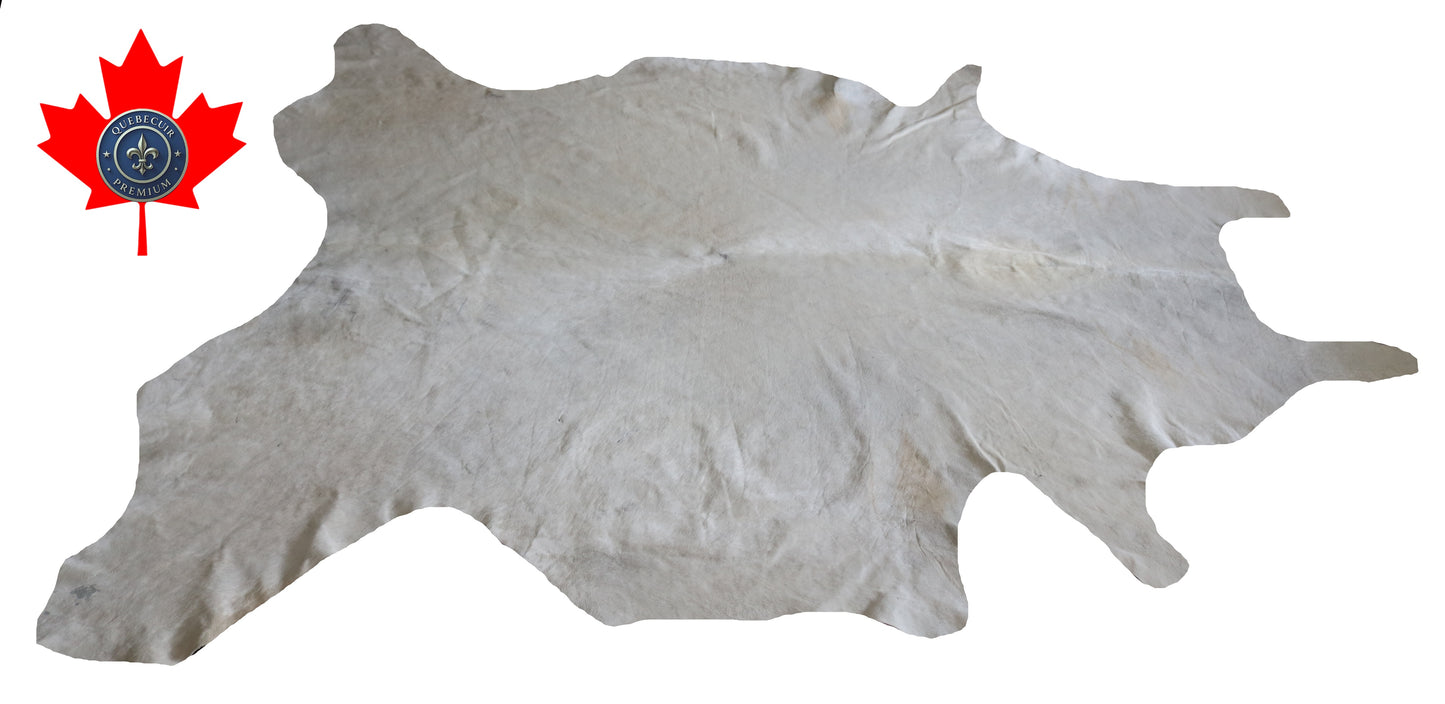 300639- Cowhide Rug Tapis Peau de Vache BIG SIZE XL - Collection Quebecuir Premium