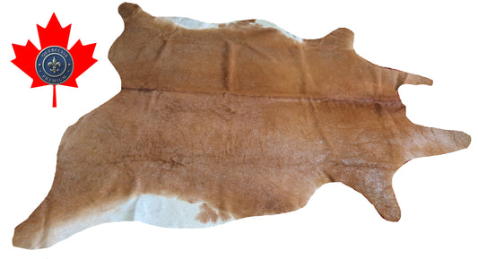 300641- Cowhide Rug Tapis Peau de Vache  METALLIC SILVER - Collection Quebecuir Premium