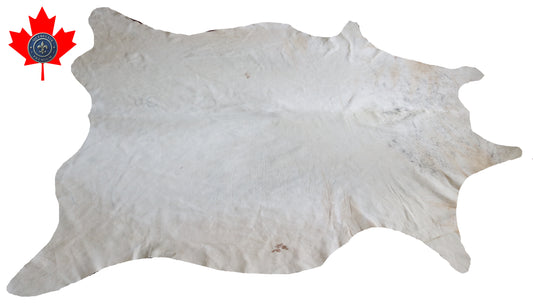 300645- Cowhide Rug Tapis Peau de Vache BIG SIZE XL - Collection Quebecuir Premium