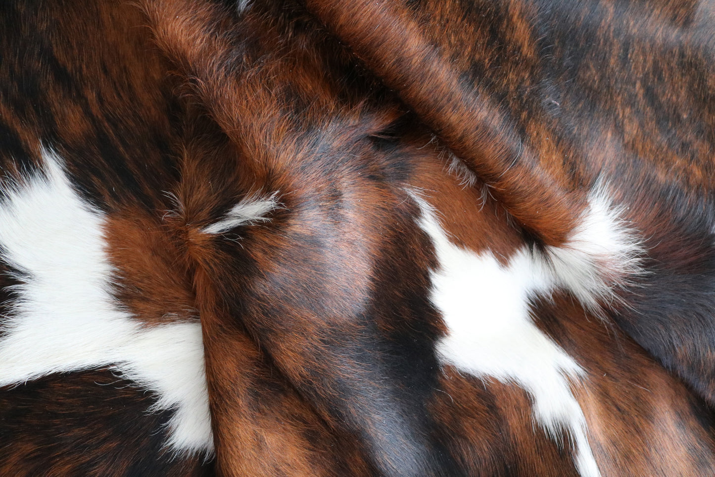 99228- Cowhide Rug Tapis Peau de Vache - Collection Quebecuir Premium