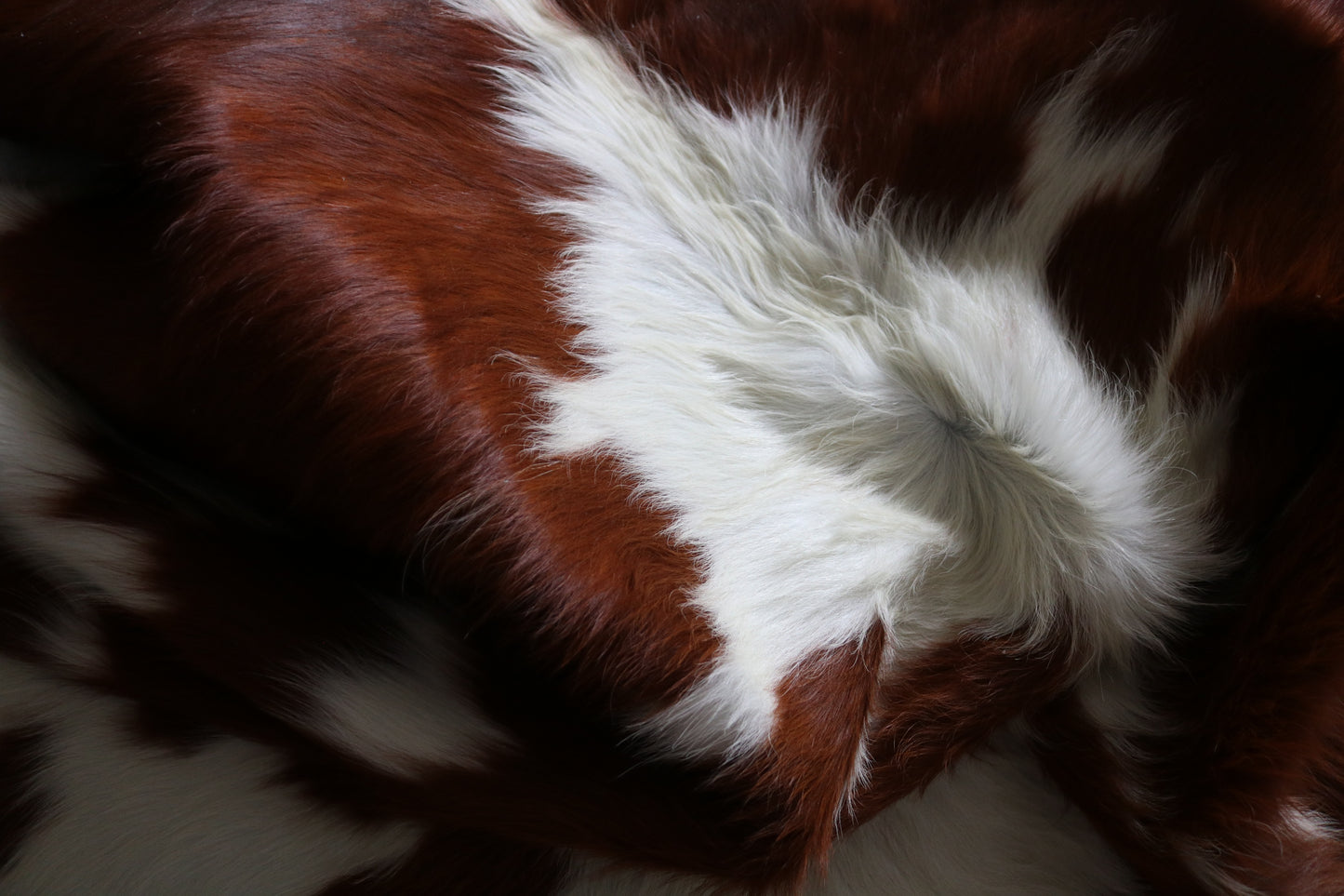 99233- Cowhide Rug Tapis Peau de Vache - Collection Quebecuir Premium