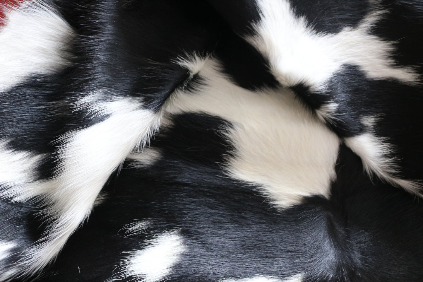 99235- Cowhide Rug Tapis Peau de Vache - Collection Quebecuir Premium