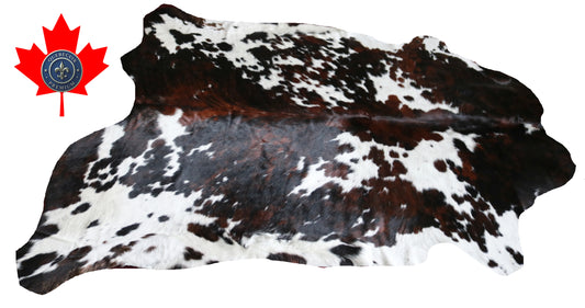 99237- Cowhide Rug Tapis Peau de Vache SUPER BIG SIZE XXXL - Collection Quebecuir Premium