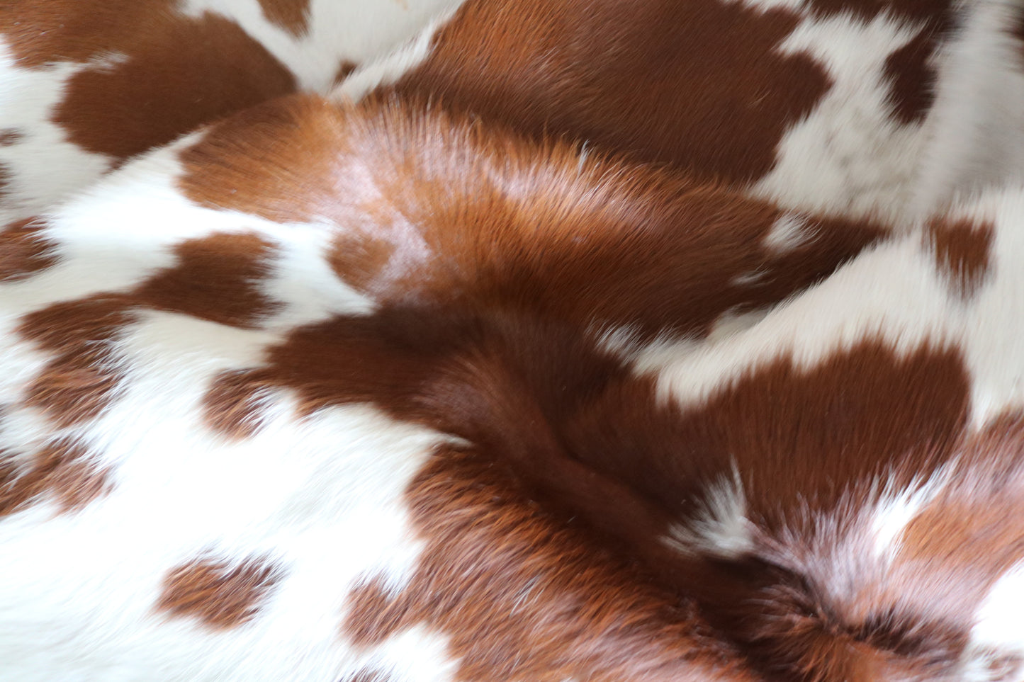 99244- Cowhide Rug Tapis Peau de Vache  - Collection Quebecuir Premium