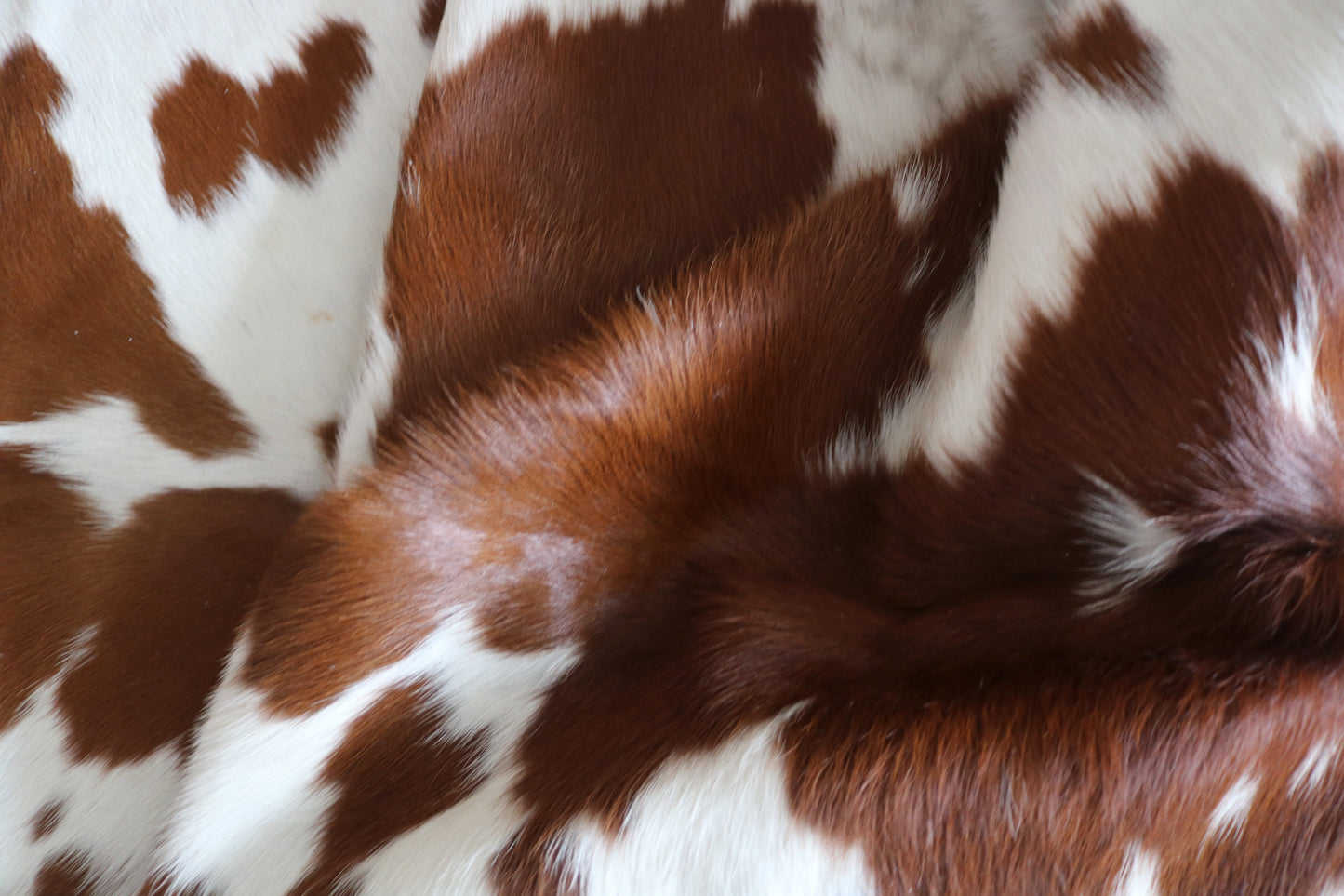 99244- Cowhide Rug Tapis Peau de Vache  - Collection Quebecuir Premium