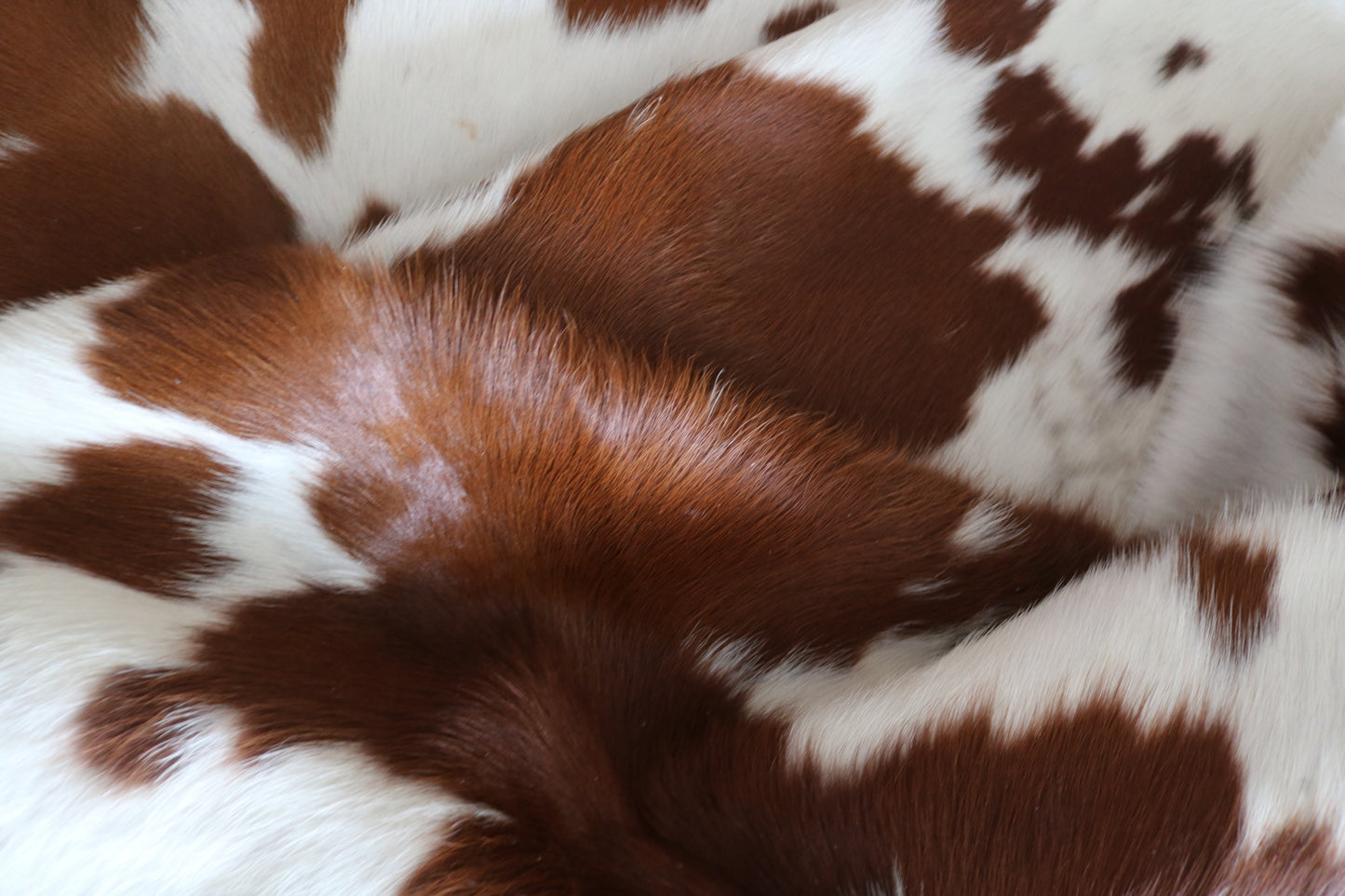 99244- Cowhide Rug Tapis Peau de Vache  - Collection Quebecuir Premium