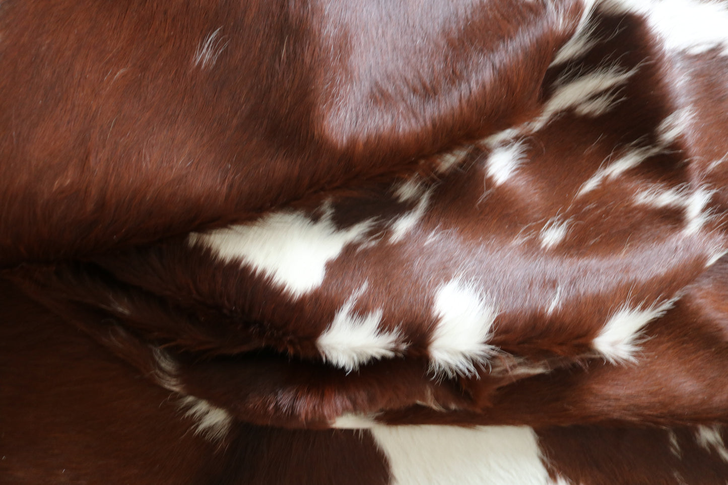 99245- Cowhide Rug Tapis Peau de Vache  - Collection Quebecuir Premium