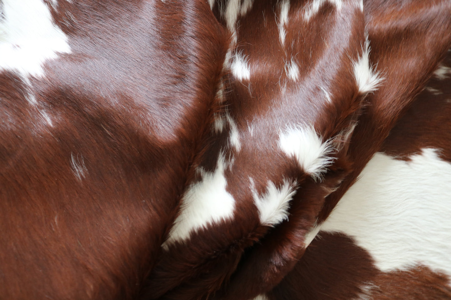 99245- Cowhide Rug Tapis Peau de Vache  - Collection Quebecuir Premium